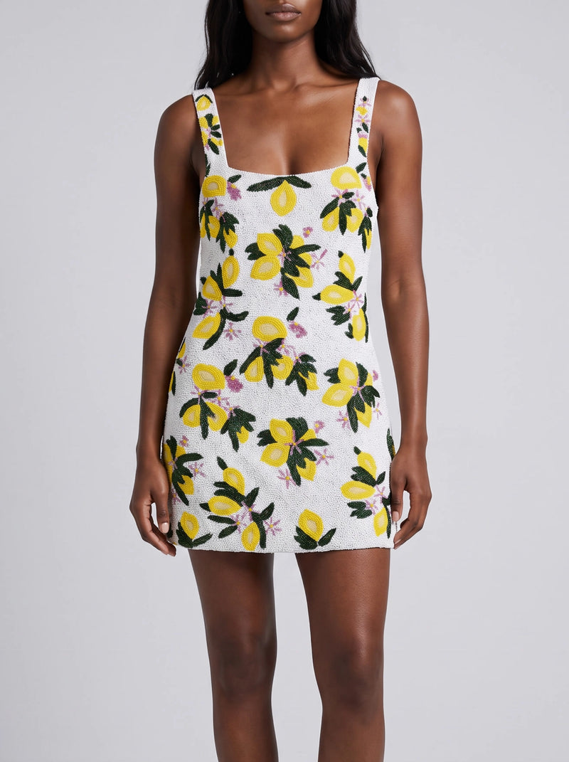 Lemon Blossom Multi Color Mini Dress