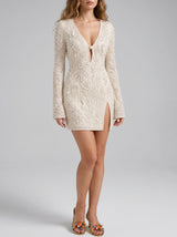Serena Sheer Mini Dress