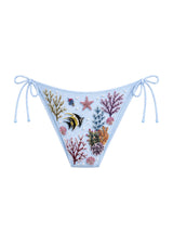 Manta Ray and Turtle Multi color Bikini Bottom
