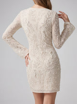 Serena Sheer Mini Dress