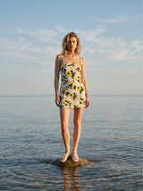 Lemon Blossom Multi Color Mini Dress