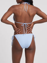 Manta Ray and Turtle Multi color Bikini Bottom
