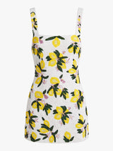 Lemon Blossom Multi Color Mini Dress