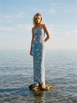 Coraline Multi Colour Long Dress