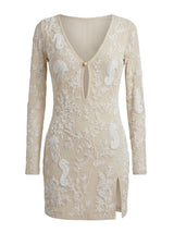 Serena Sheer Mini Dress