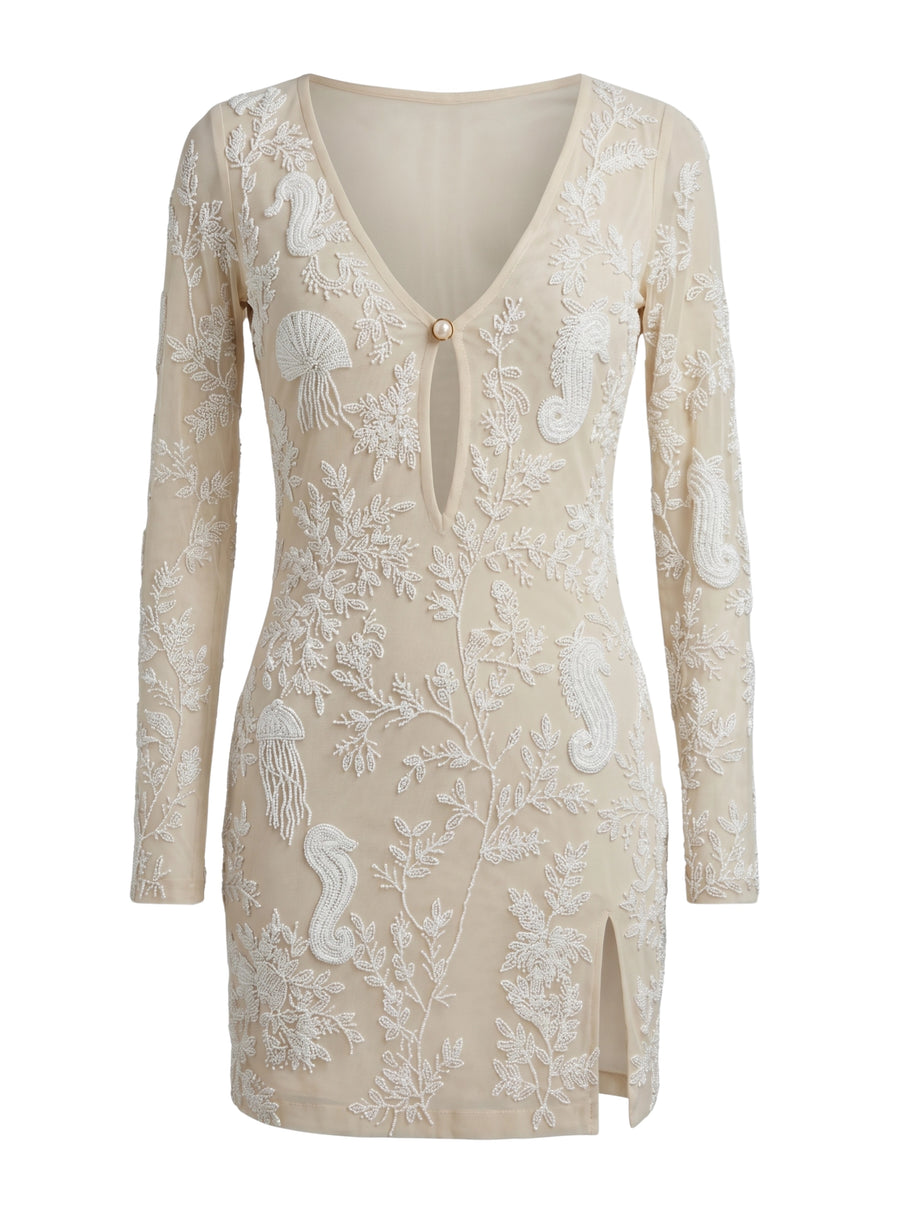 Serena Sheer Mini Dress