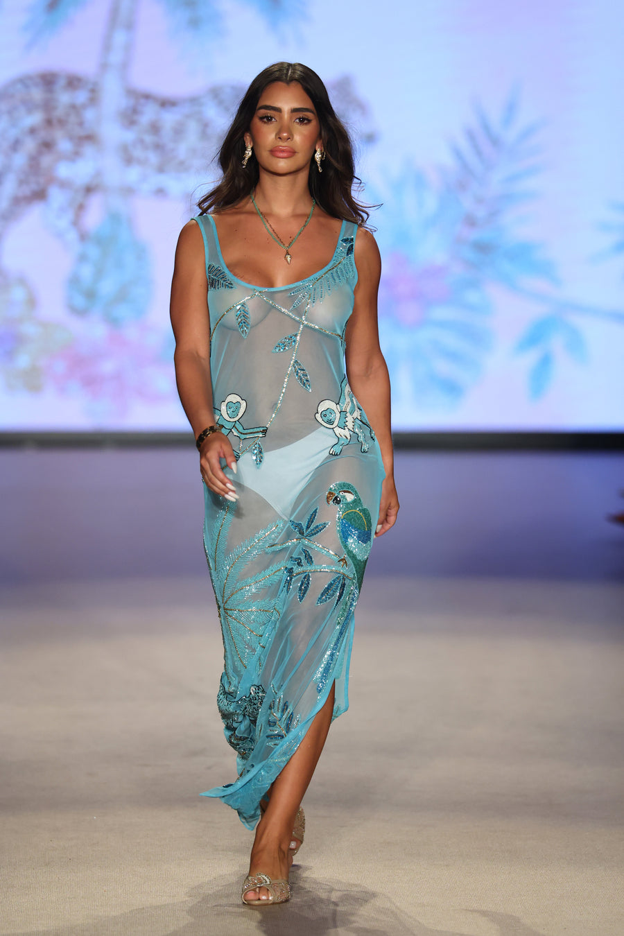 Zola Sheer Maxi Dress