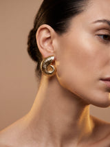 Gold Shell Earrings