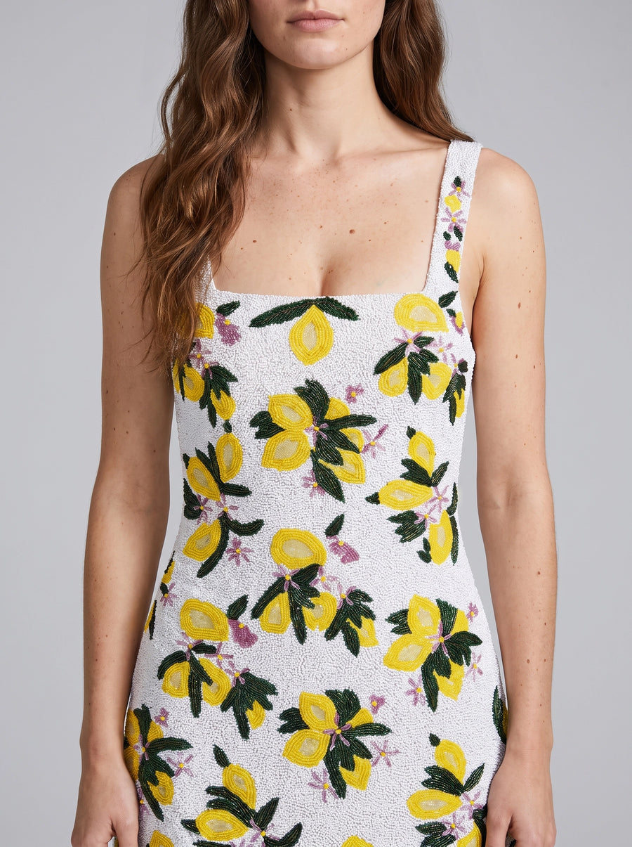 Lemon Blossom Multi Color Mini Dress
