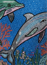 Dance of the Dolphins Swimsuit