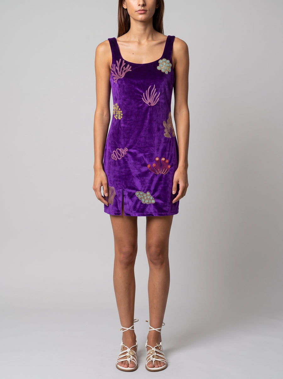 Coral Purple Velvet Mini Dress