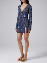 Coralie Sheer Navy Mini Dress