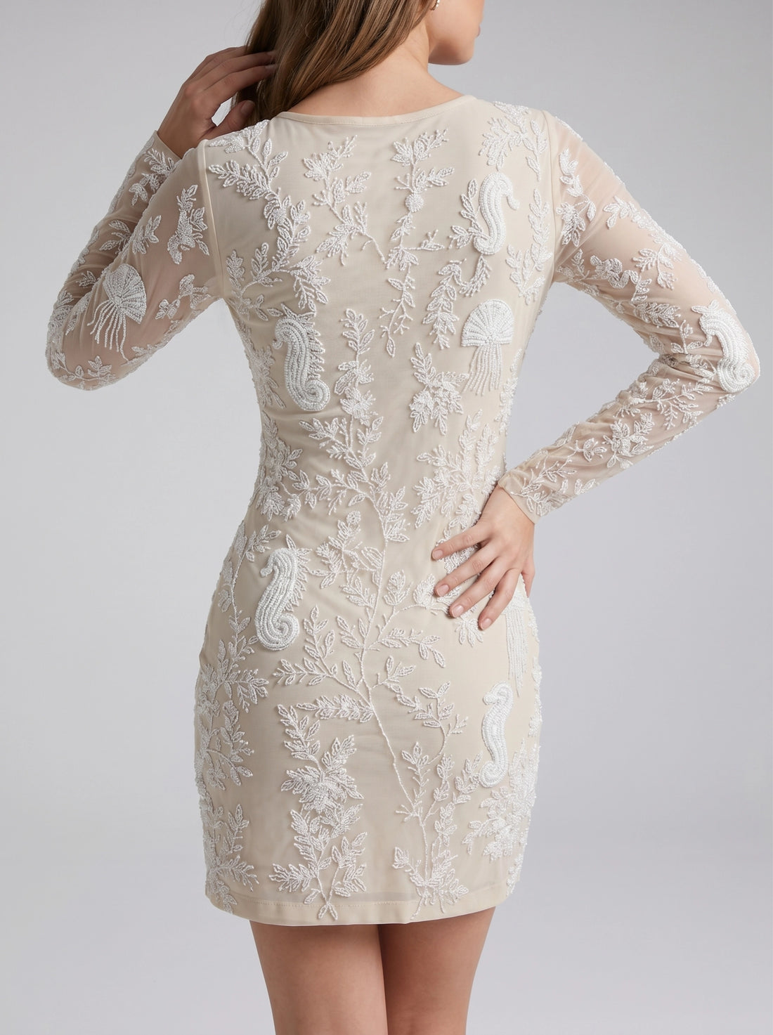 Serena Sheer Mini Dress