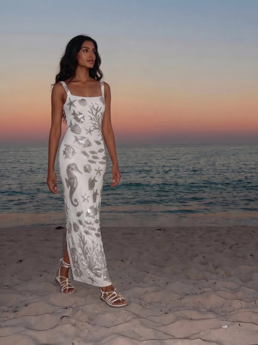 Coraline Multi Colour Long Dress