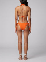Starfish Shell Bikini Bottom