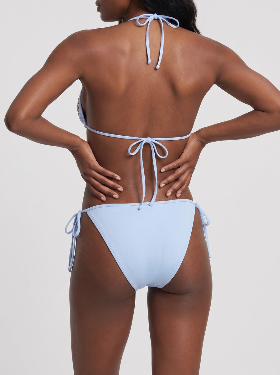 Manta Ray and Turtle Multi color Bikini Bottom