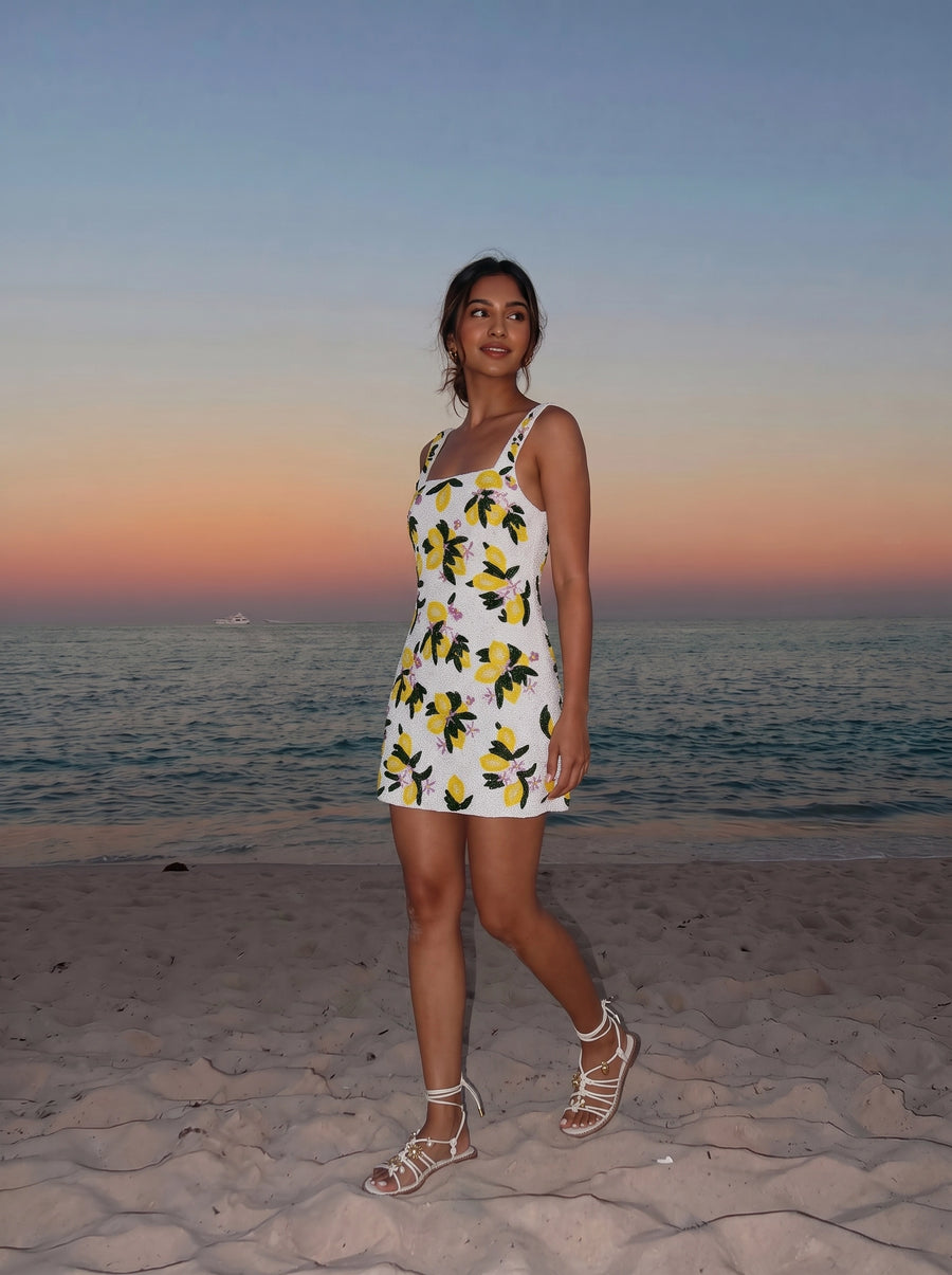 Lemon Blossom Multi Color Mini Dress