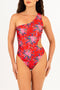 Zara Cut-Out Swimsuit