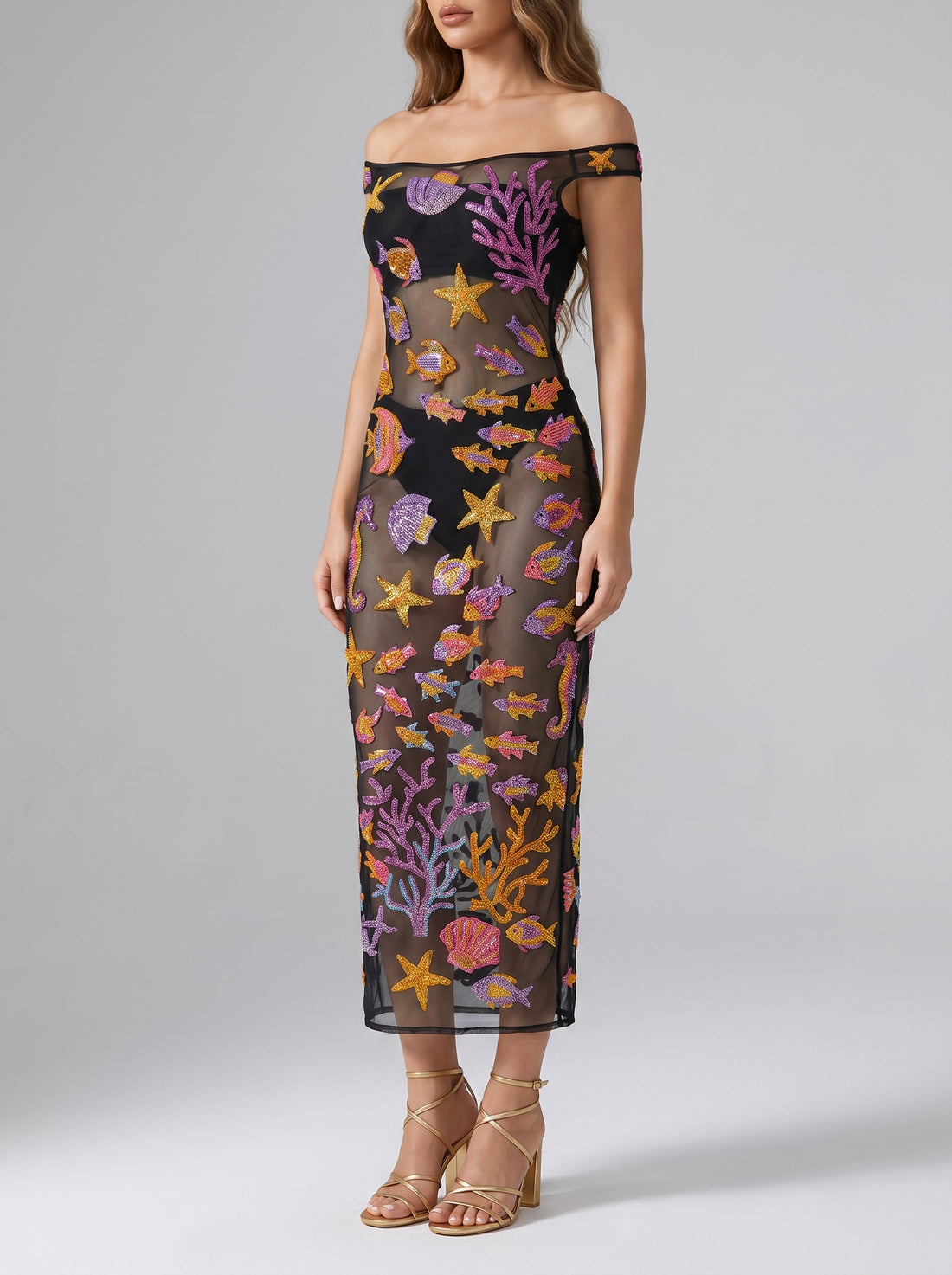 Coraline Black Sheer Maxi Dress